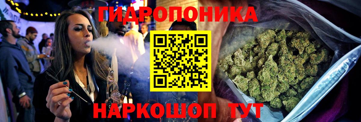Шишки марихуана конопля Стерлитамак
